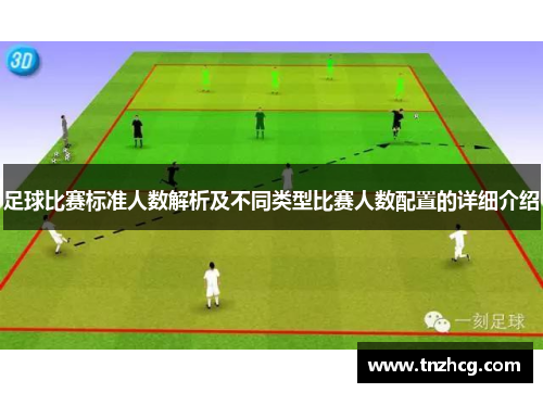 足球比赛标准人数解析及不同类型比赛人数配置的详细介绍