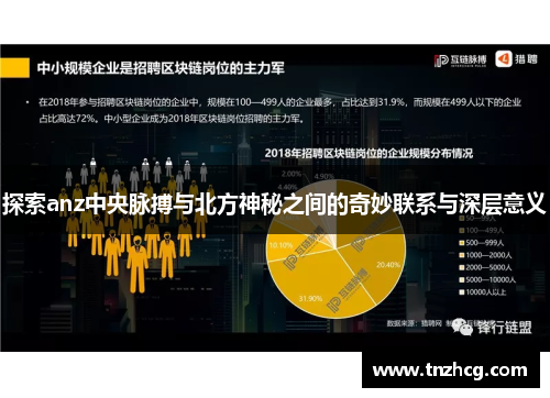 探索anz中央脉搏与北方神秘之间的奇妙联系与深层意义