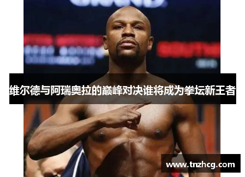 维尔德与阿瑞奥拉的巅峰对决谁将成为拳坛新王者