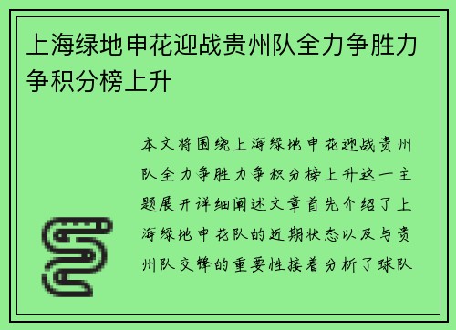 上海绿地申花迎战贵州队全力争胜力争积分榜上升