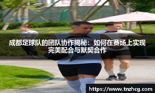 成都足球队的团队协作揭秘：如何在赛场上实现完美配合与默契合作