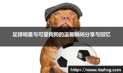 足球明星与可爱狗狗的温馨瞬间分享与回忆