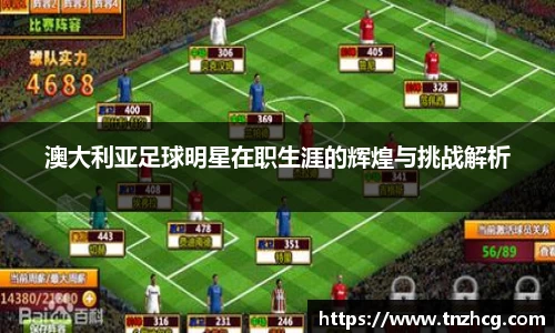 澳大利亚足球明星在职生涯的辉煌与挑战解析