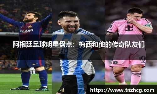 智博19有限公司